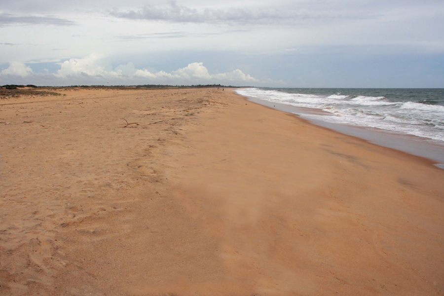 Kalpitiya Beachfront land for sale/rent